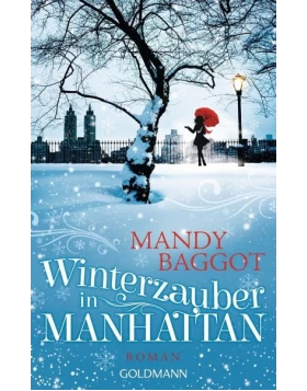 Winterzauber in Manhattan