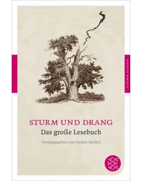 Sturm und Drang