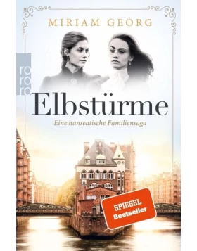 Elbstürme / Eine hanseatische Familiensaga Bd.2