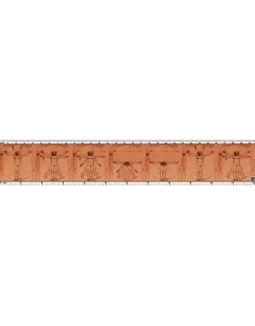 Χάρακας με κινούμενο τον Άνθρωπο του Ντα Βίντσι - Wackel-Lineal Da Vinci Mensch