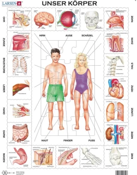 Puzzle – Unser Körper - Εκπαιδευτικό παζλ, το σώμα μας, 36x28 cm