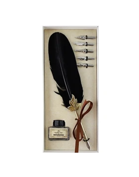 Tintenstift Federstift Set, schwarzer Stift, weiße Box