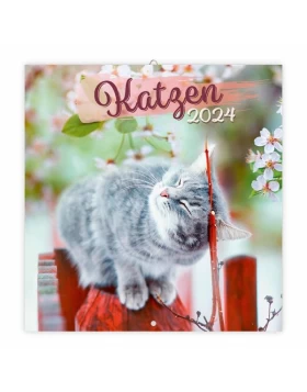Broschürenkalender Katzen 2024 - Wandplaner