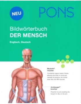 PONS Bildwörterbuch - Der Mensch