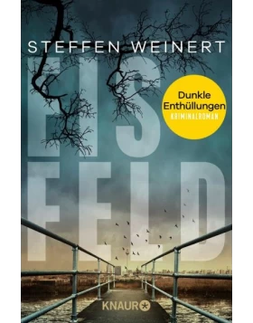 Eisfeld - Dunkle Enthüllungen / Mara Eisfeld ermittelt Bd.2