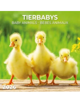 Tierbabys/Baby Animals 2026