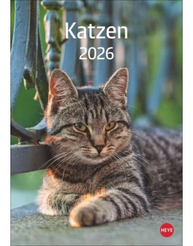 Ημερολόγιο Katzen Kalender 2026