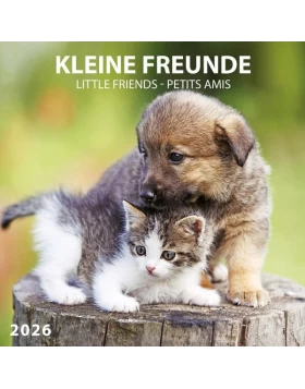 Kleine Freunde/Little Friends Kalender 2026