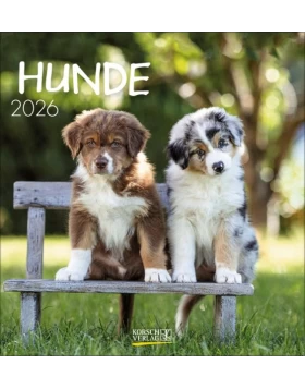 Hunde 2026