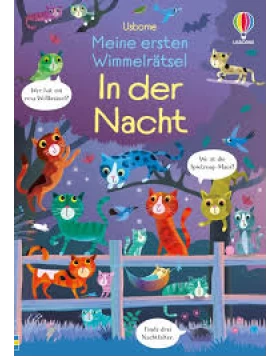 Meine ersten Wimmelrätsel: In der Nacht