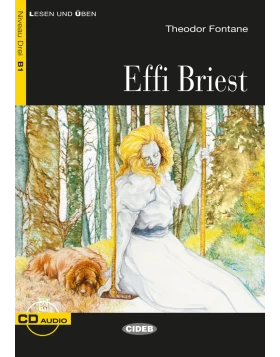 Lesen und Üben - Effi Briest - Niveau 3, B1 