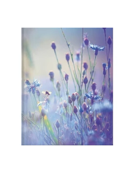 Σημειωματάριο Blankbook - Summer Meadow