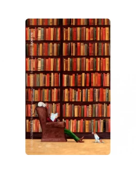 Μαγνητάκι βιβλιοθήκη - Magnet Bücher 