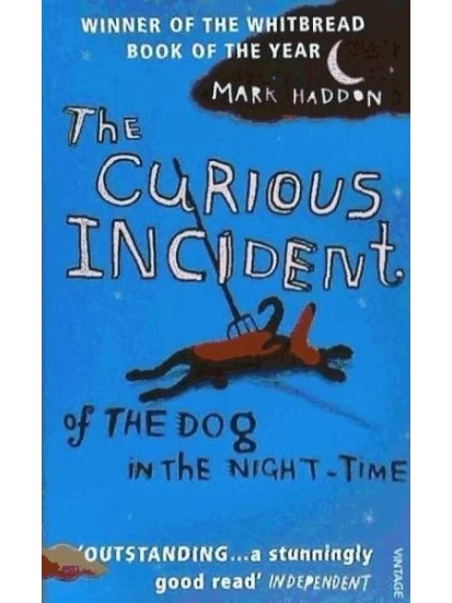 The Curious Incident of the Dog in the Night-Time