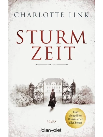 Sturmzeit Bd.1