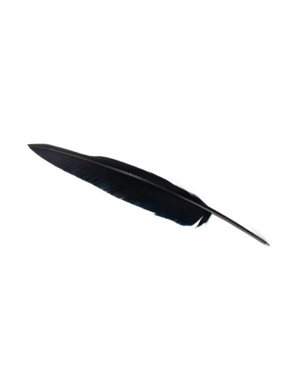 Νοσταλγικό στυλό φτερό, 37 cm - Schreibfeder, schwarz