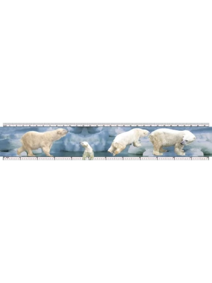 Χάρακας Πολικές αρκούδες, 30 x 5.5 cm - Wackel-Lineal Eisbären