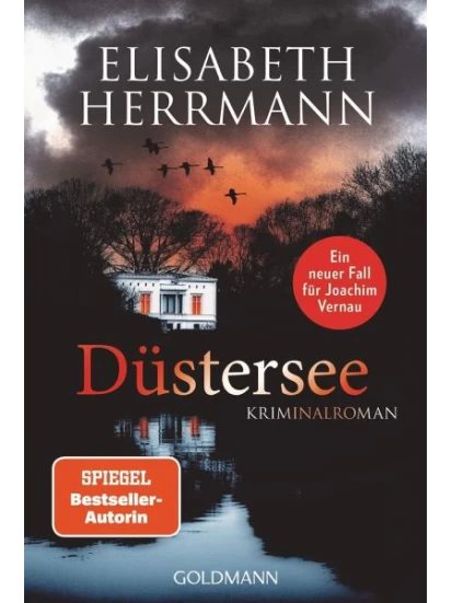 Düstersee / Joachim Vernau Bd.7