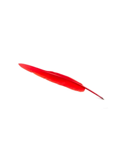 Νοσταλγικό στυλό φτερό κόκκινο, 37 cm - Schreibfeder, Rot