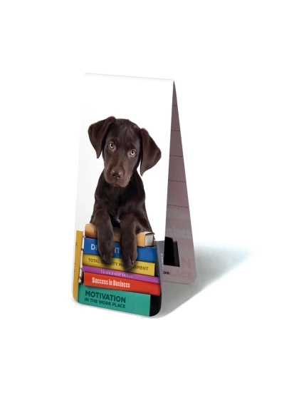 Μαγνητικός σελιδοδείκτης, 4.9 x 10 cm - Magnetisches Lesezeichen, Welpe, Hund auf Büchern