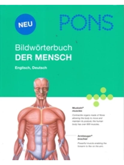 PONS Bildwörterbuch - Der Mensch