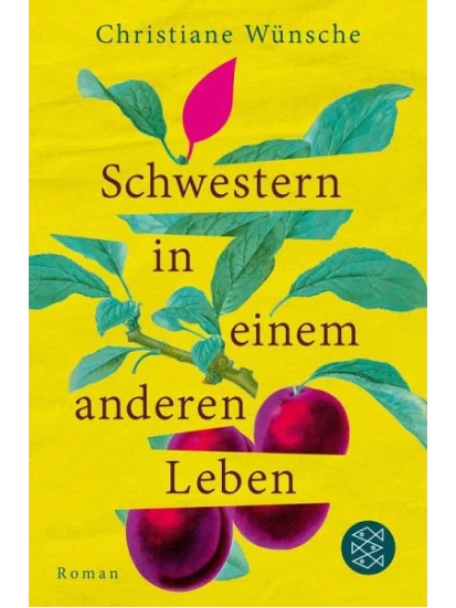 Schwestern in einem anderen Leben