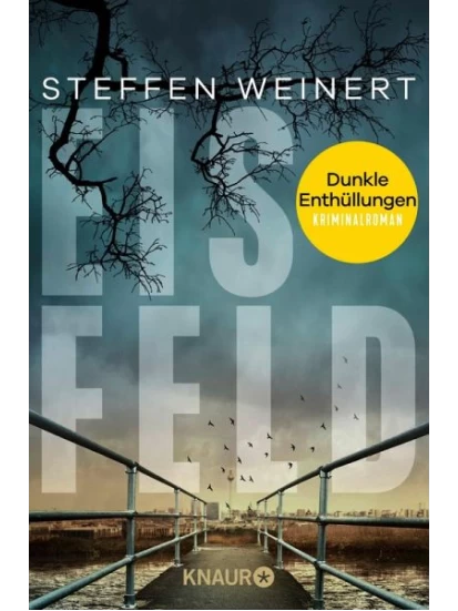 Eisfeld - Dunkle Enthüllungen / Mara Eisfeld ermittelt Bd.2