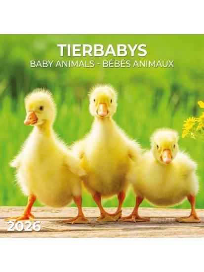 Tierbabys/Baby Animals 2026
