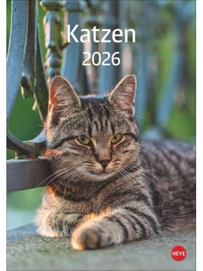 Katzen Kalender 2026