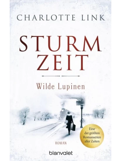 Wilde Lupinen / Sturmzeit 