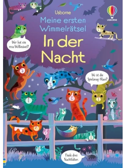 Meine ersten Wimmelrätsel: In der Nacht