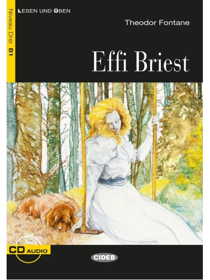 Lesen und Üben - Effi Briest - Niveau 3, B1 
