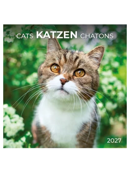 Ημερολόγιο Kalender Katzen / Cats 2027
