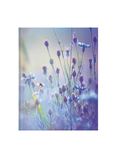 Σημειωματάριο Blankbook - Summer Meadow